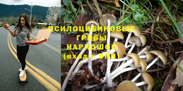 кокаин Алексин