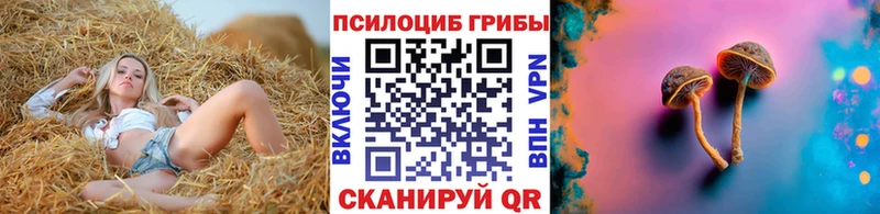 дарк нет наркотические препараты  Тосно  Галлюциногенные грибы Cubensis 